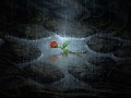 What lurks in the forest, in the land is revealed... (Synopsis)
