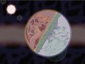 Questverse Minor Updates