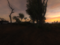 The latest information from the development process.