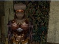 [NEWS] Realistic Combat