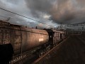 Development Status Report
