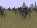 Alpha testing begun!