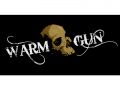 Warm Gun Closed Alpha / Milstone Update