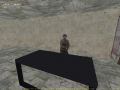 Bugs That Are Comming Up
