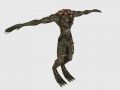 Health Status, A Reptile and a Lost City.