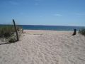 The Beach
