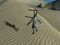 Initial Movement Features (HD Video)