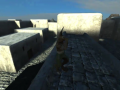 John's Alpha Video (cat city)