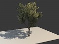 Recruits - Art and Asset Updates