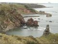 Phoenix85- The Cove Part 2