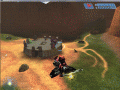 Wasp Gulch