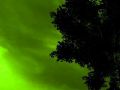 Wolf's Mod Update! v1.0.2 (v1.0.0 needed)