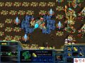 (4)Battle Arena