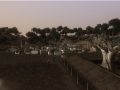 Town Of Detail