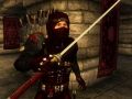 Ninja Mod