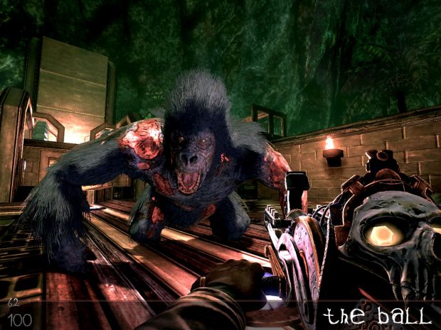 gorillafight2.jpg