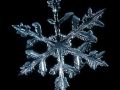 Winter Mod BETA 1.0