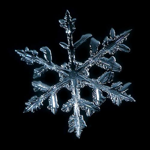 Winter Mod BETA 1.0