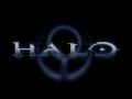 the halo 1.1 skins