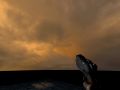Skyportal (Modding Resource)