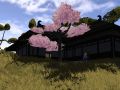 Hanako - Feudal Japanese Warfare Theme Music