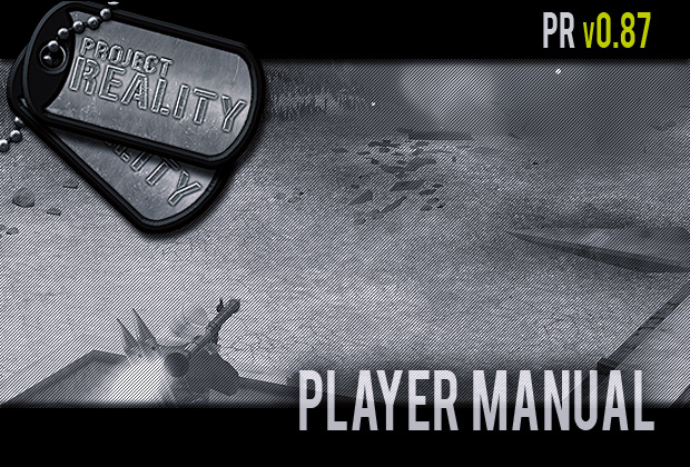Project Reality v0.87 Player Manual