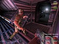 AVP Mini Marine Campaign