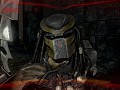 AVP Gold Predator Skin