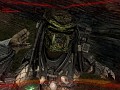 AvP Skin Predator