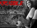 Krucible: InSaNiTaRiUm (2 level SDL demo)