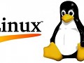 ESF 1.2.3 Linux Sever only