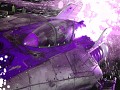 Violet Alliance (2.0)
