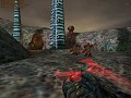 XenWarrior