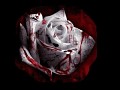 A Rose In The Dark v1.3