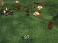 the Forerunner camp