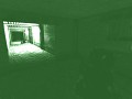 Green Night Vision
