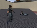NMPD Officer Beta v1 (Ragdoll)