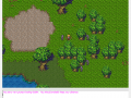 Areum Pre-alpha v0.0.0.238