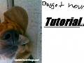 BassetHounds Tutorial Part 1