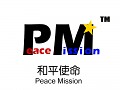 دانلود مد peace mission ماموریت صلح 2010