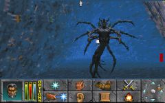 Daggerfall Screens