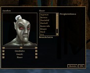 Work in progress shot of race selection window