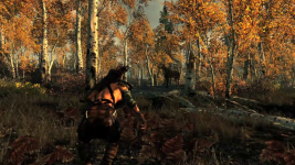 Skyrim