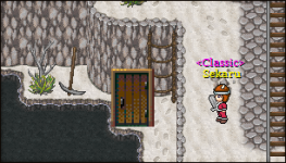Avian Classic Screenshots & Features