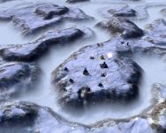 Winter Outpost