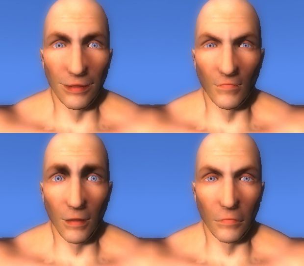 Facial Animation