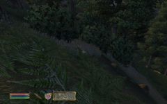 Screen Shots (With some mods on)
