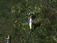 Sw