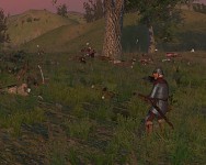 Mount & Blade