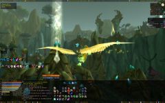 New Druid Form